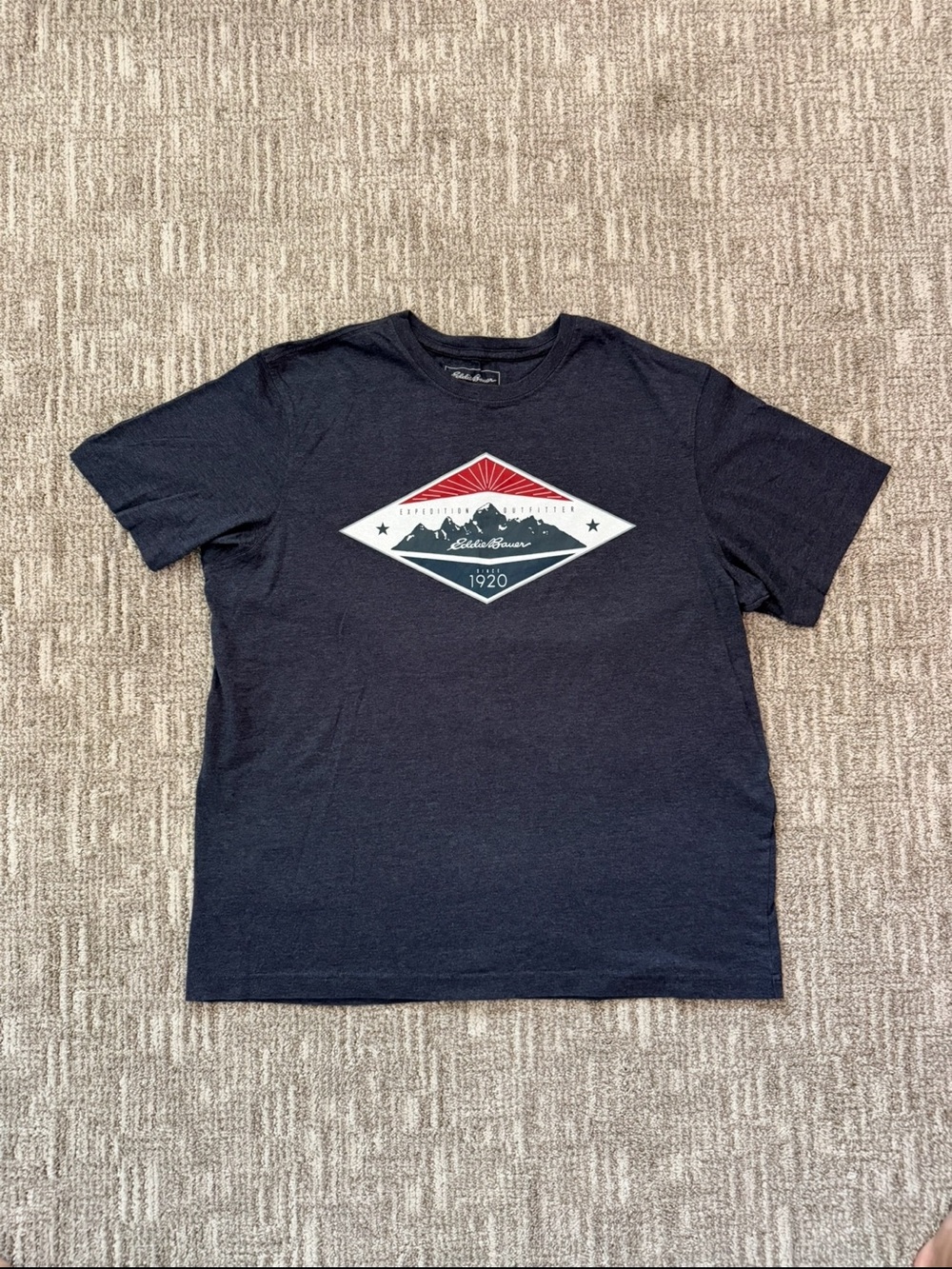 Eddie Bauer Men's Navy Graphic T-Shirt - Mountain Badge Design